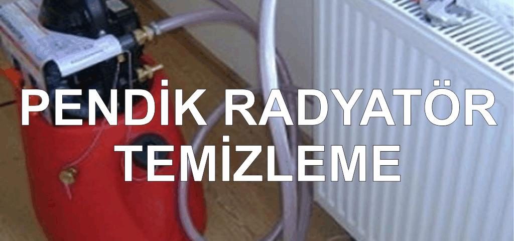 Pendik Radyatör Temizleme